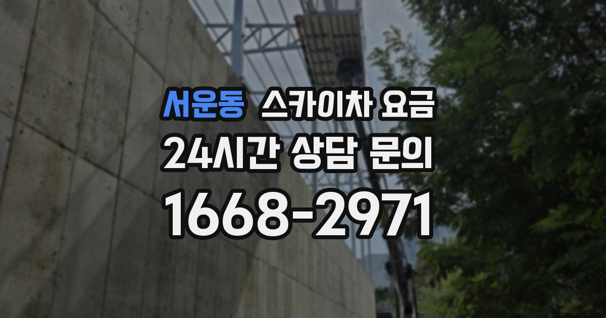 서운동 스카이차 요금
