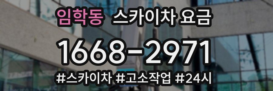 임학동 스카이차 요금