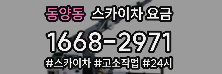 동양동 스카이차 요금