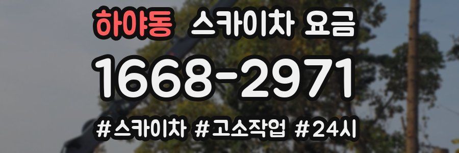 하야동 스카이차 요금