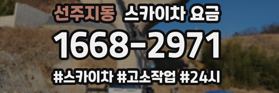 선주지동 스카이차 요금