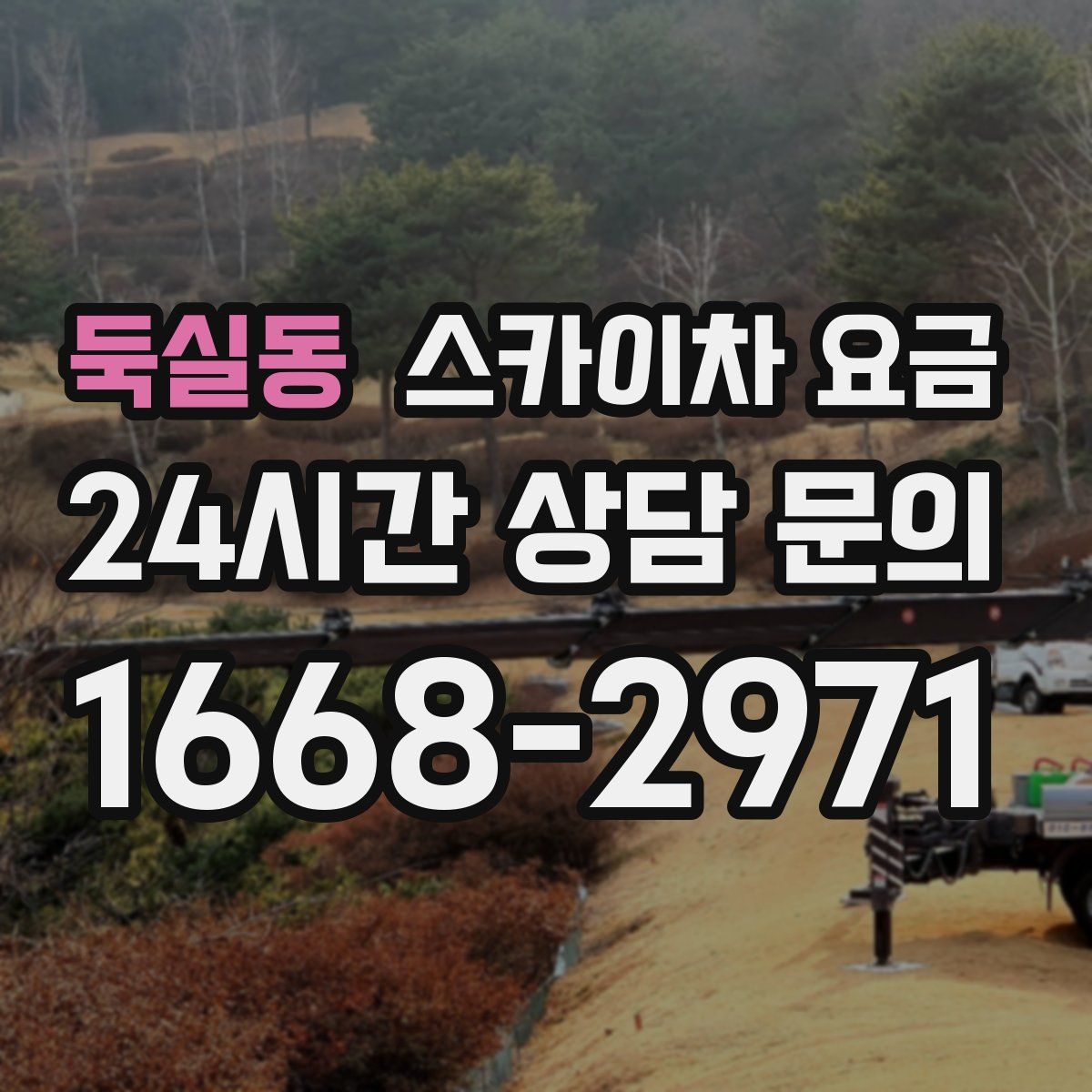 둑실동 스카이차 요금