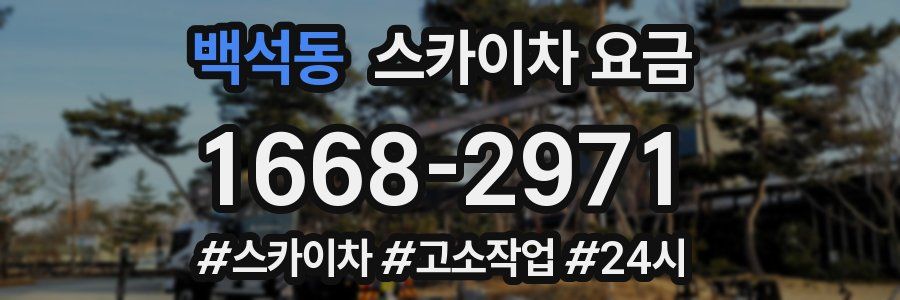 백석동 스카이차 요금