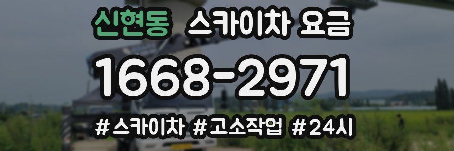 신현동 스카이차 요금