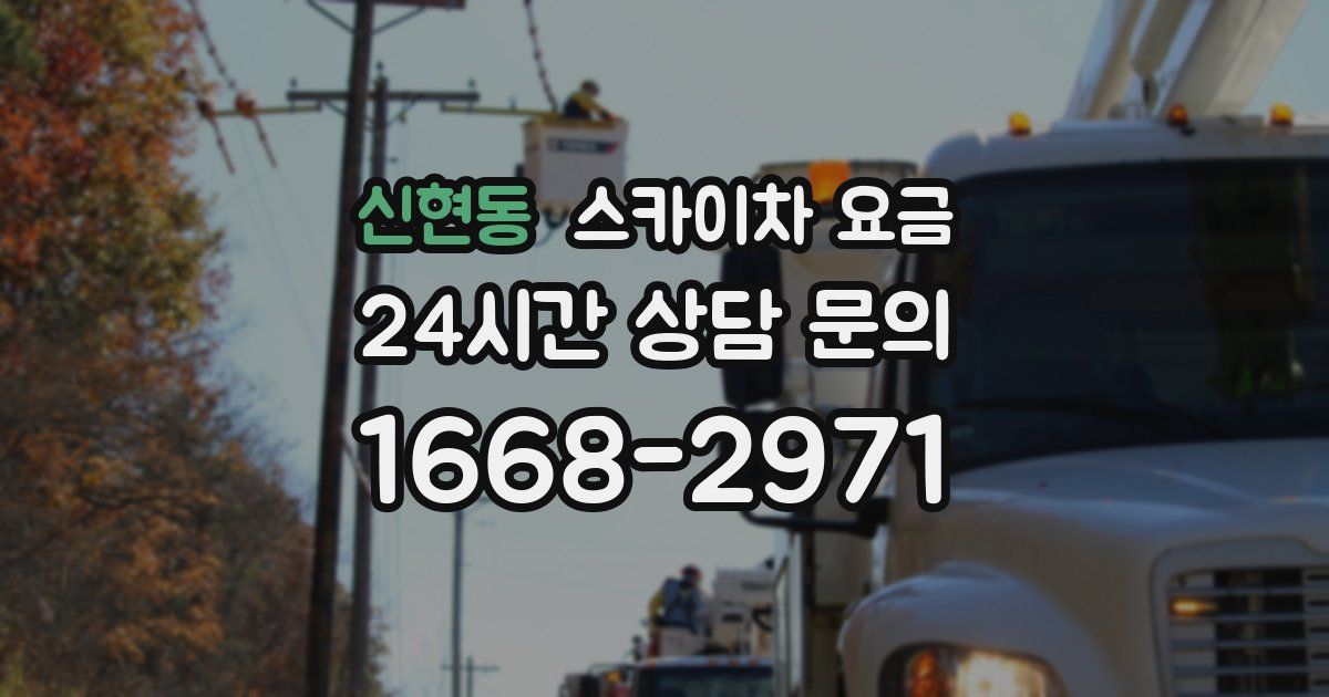 신현동 스카이차 요금