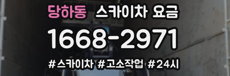 당하동 스카이차 요금