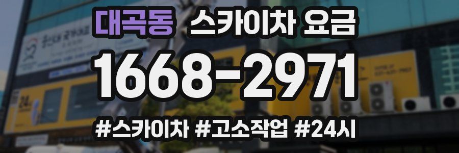 대곡동 스카이차 요금