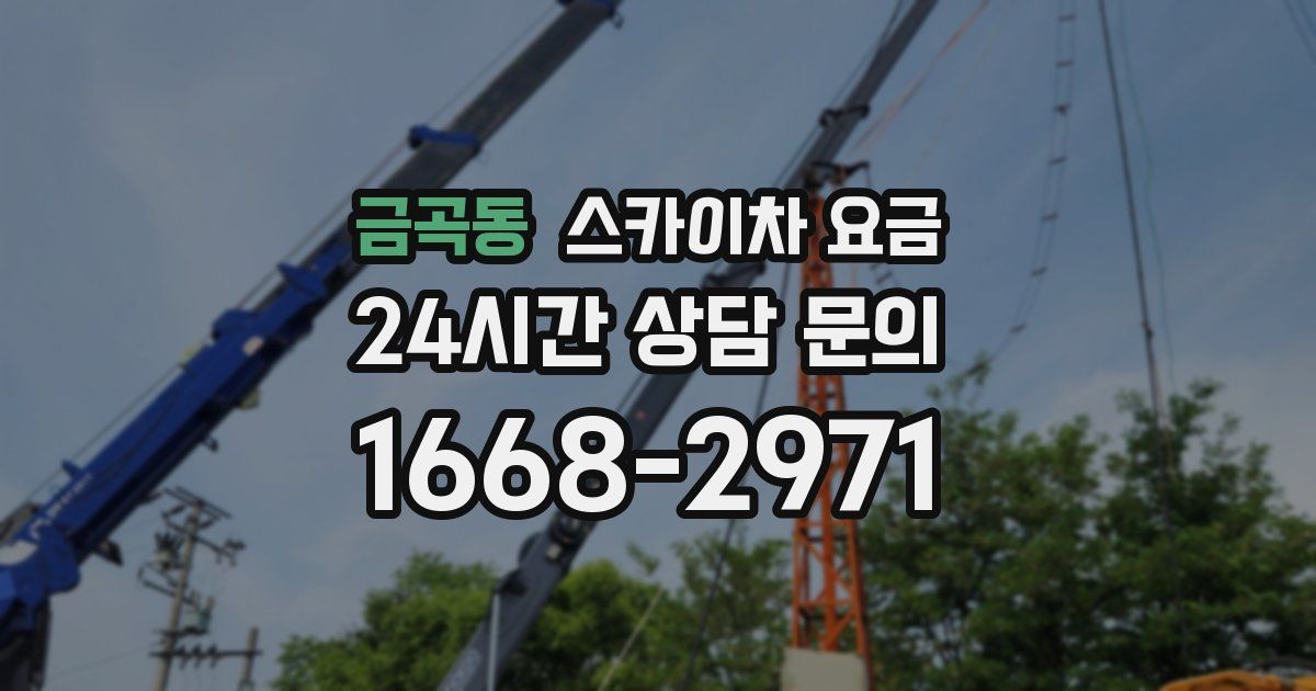 금곡동 스카이차 요금