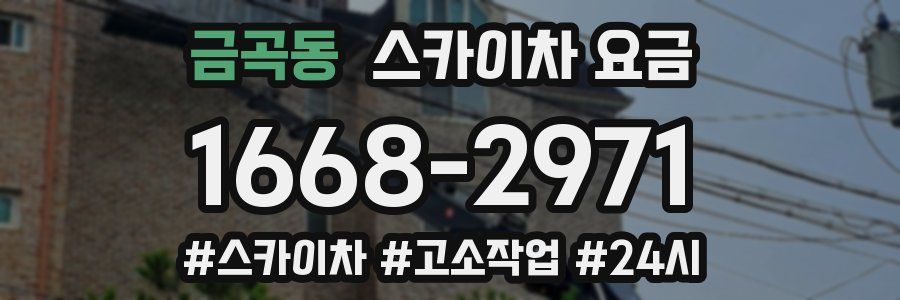 금곡동 스카이차 요금