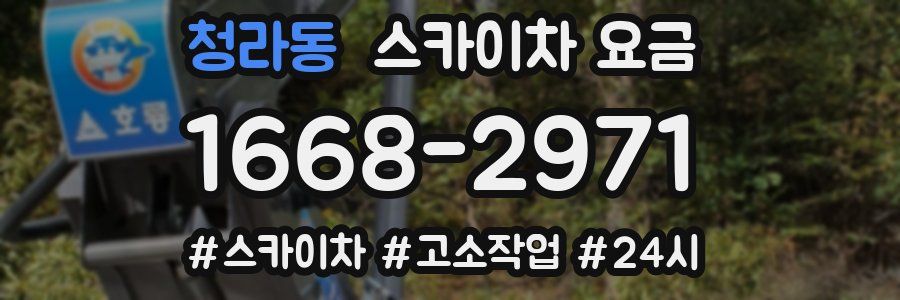 청라동 스카이차 요금
