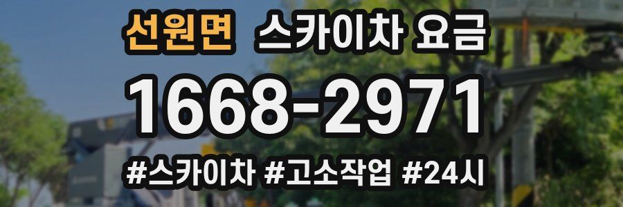 선원면 스카이차 요금