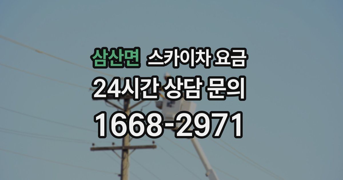 삼산면 스카이차 요금