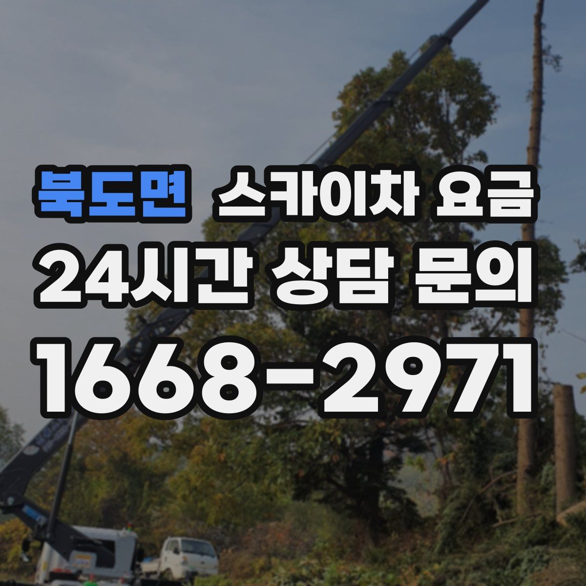 북도면 스카이차 요금