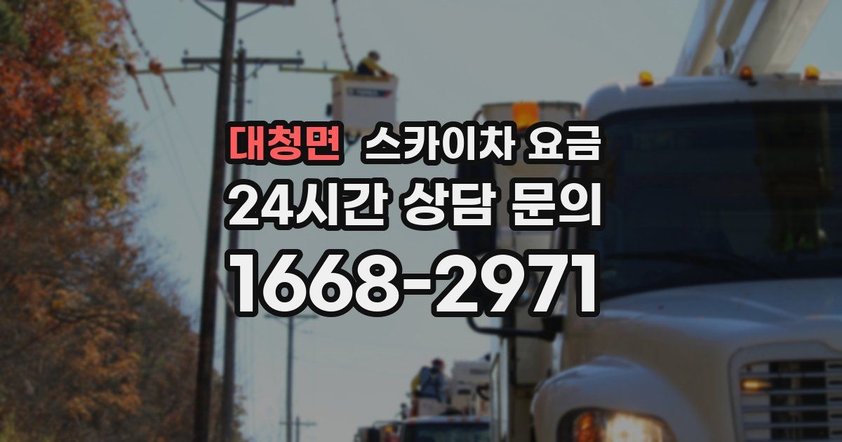 대청면 스카이차 요금