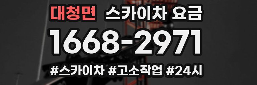 대청면 스카이차 요금
