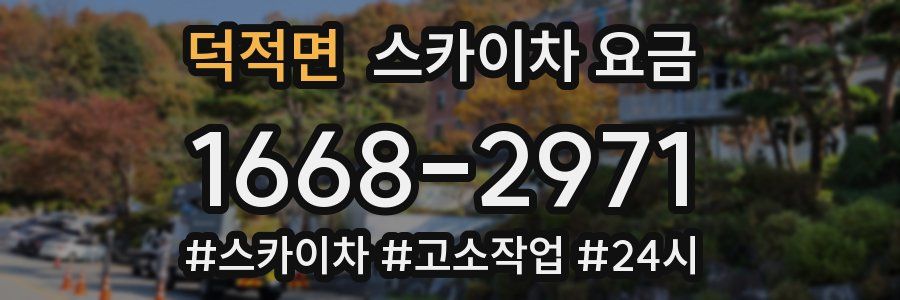 덕적면 스카이차 요금