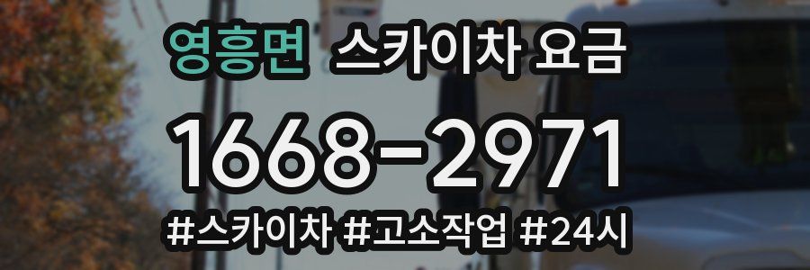 영흥면 스카이차 요금