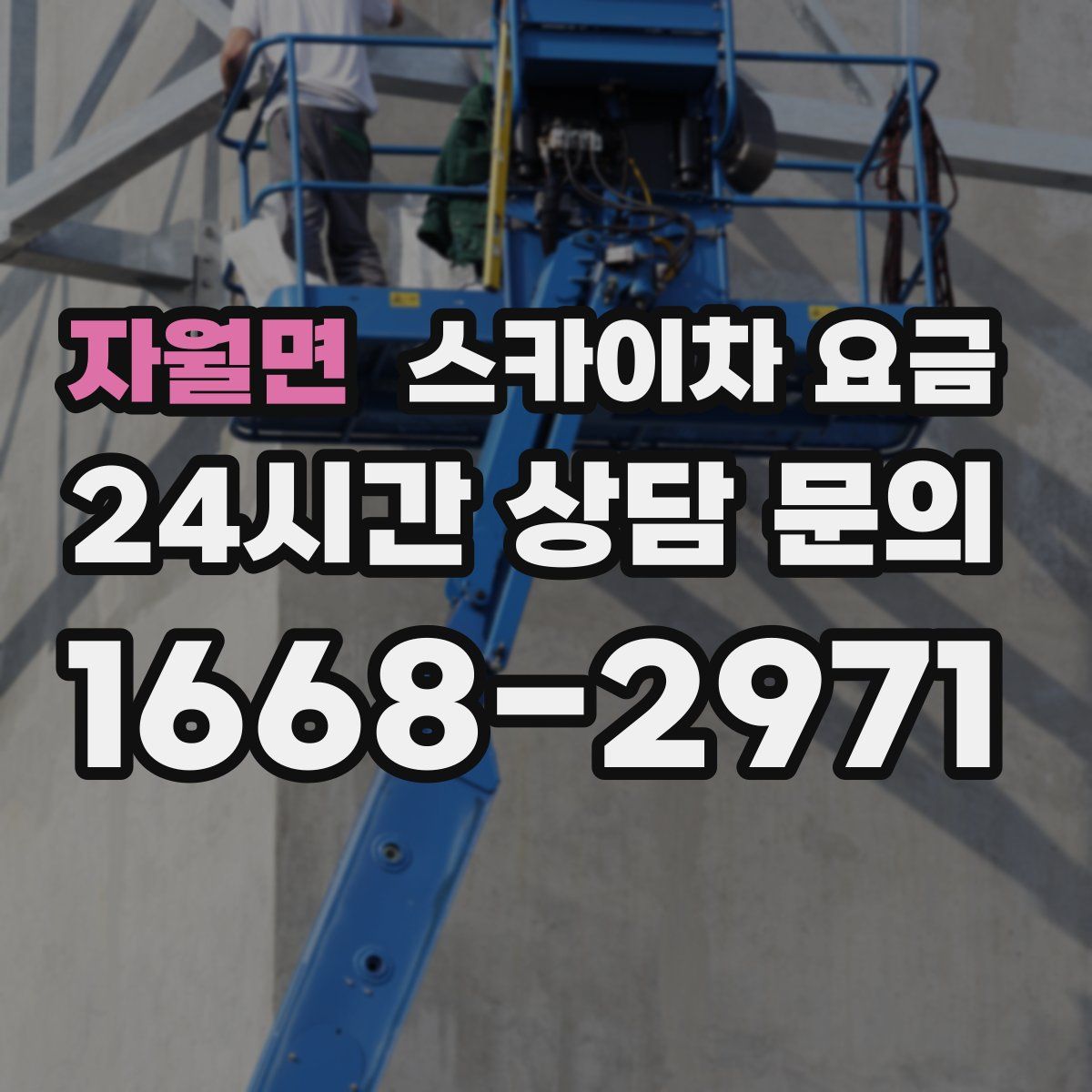 자월면 스카이차 요금