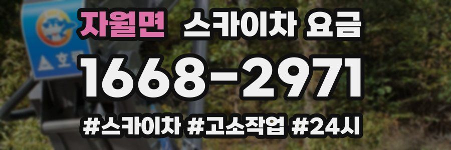 자월면 스카이차 요금