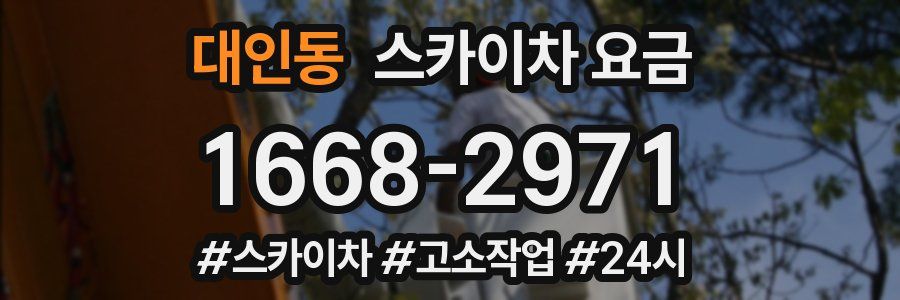 대인동 스카이차 요금