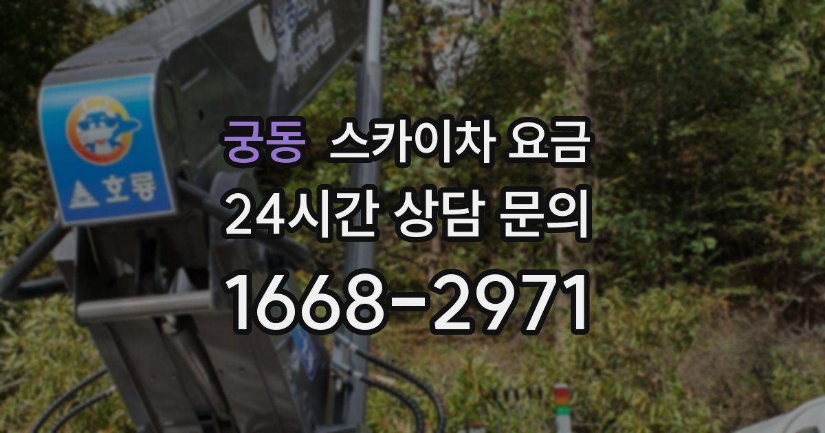 궁동 스카이차 요금