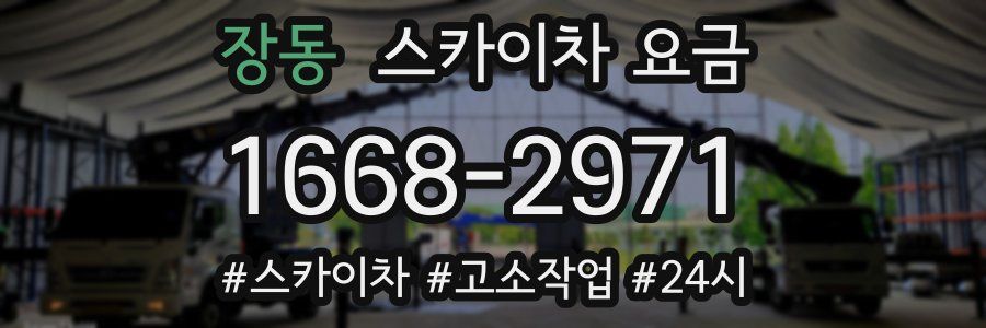 장동 스카이차 요금