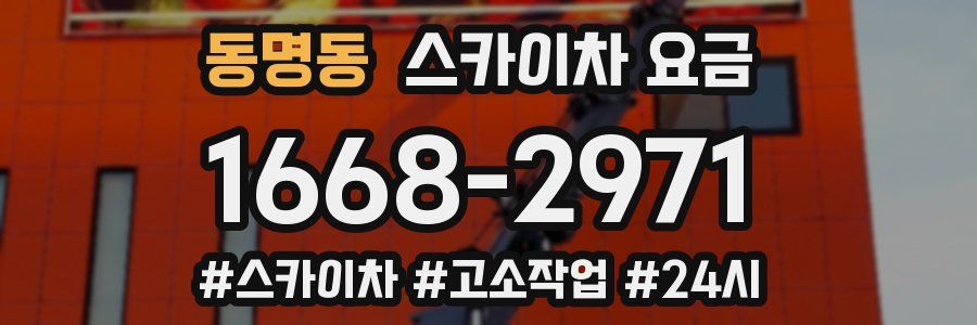 동명동 스카이차 요금