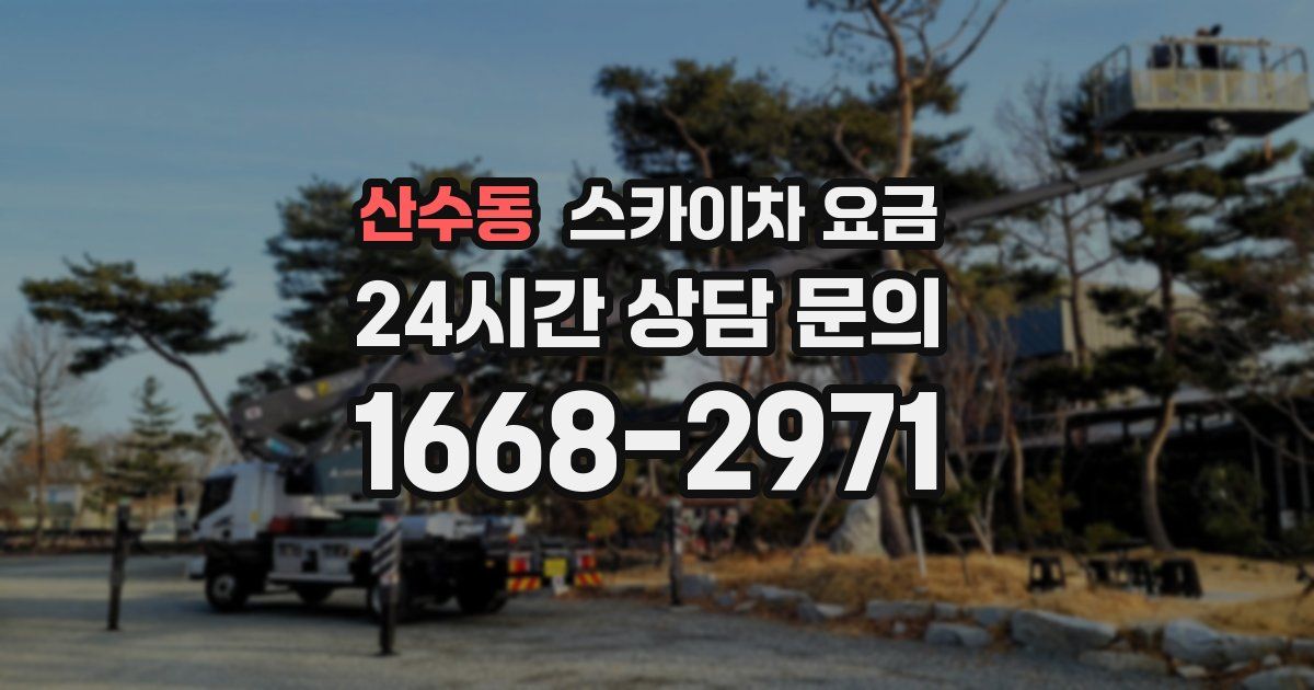 산수동 스카이차 요금