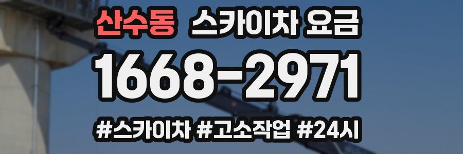 산수동 스카이차 요금
