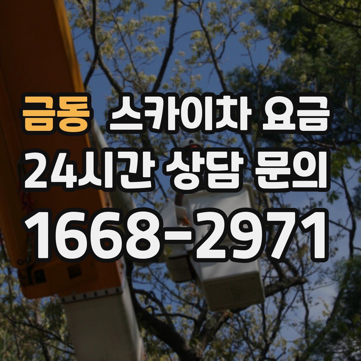 금동 스카이차 요금
