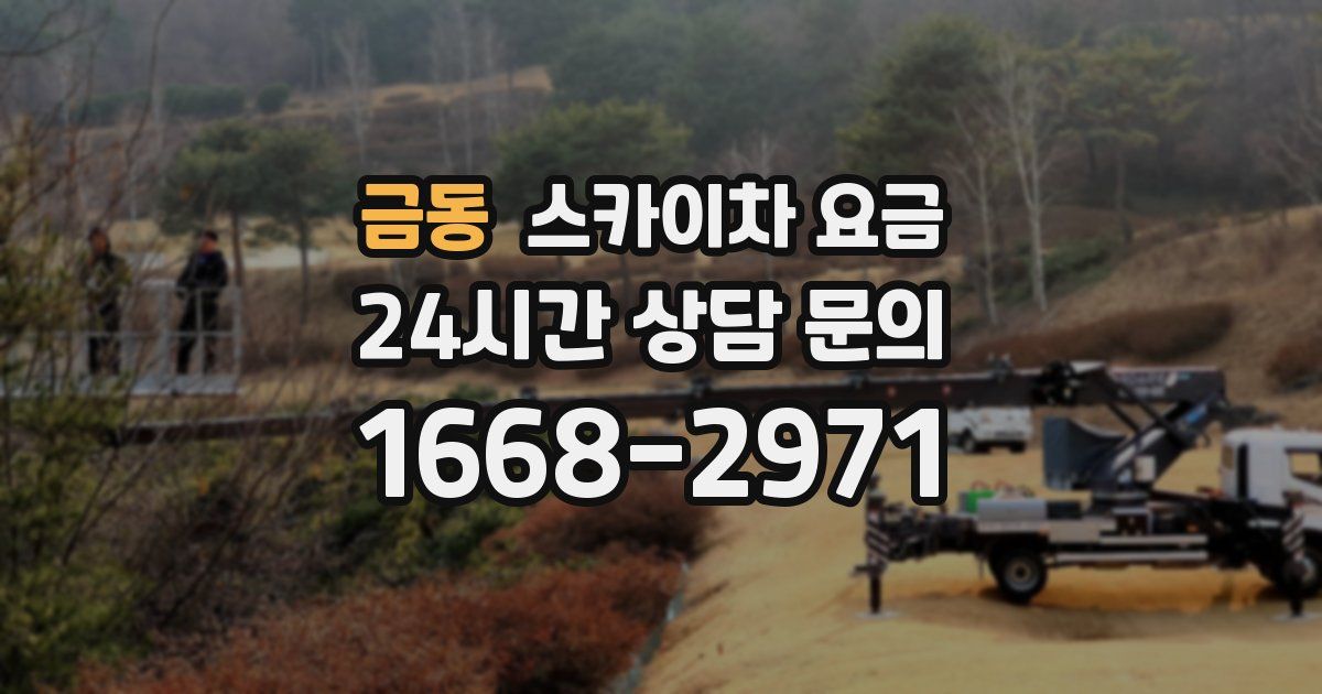 금동 스카이차 요금