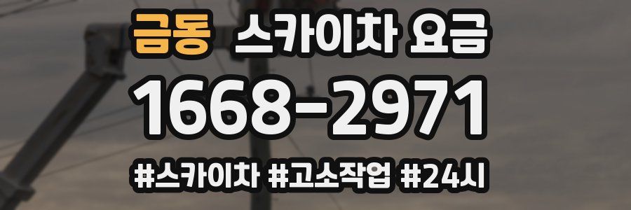 금동 스카이차 요금