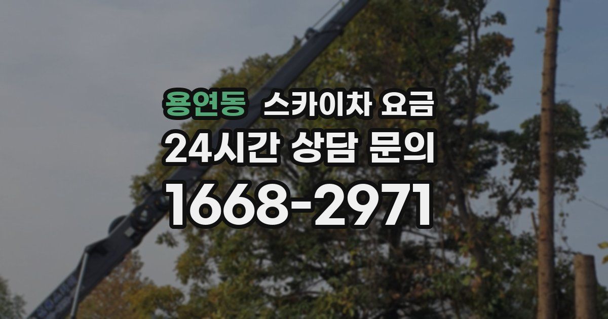 용연동 스카이차 요금