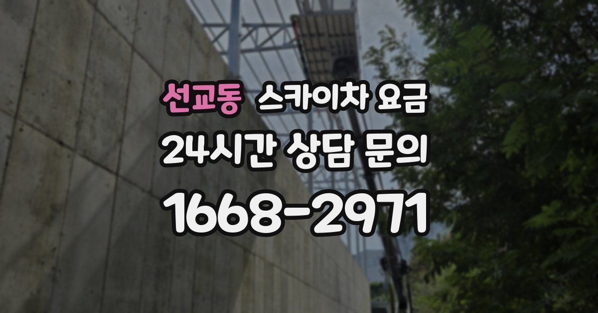선교동 스카이차 요금