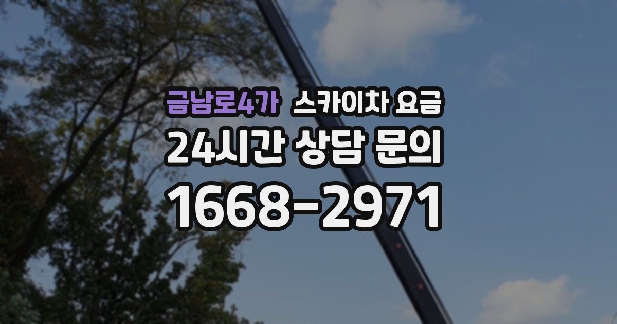 금남로4가 스카이차 요금