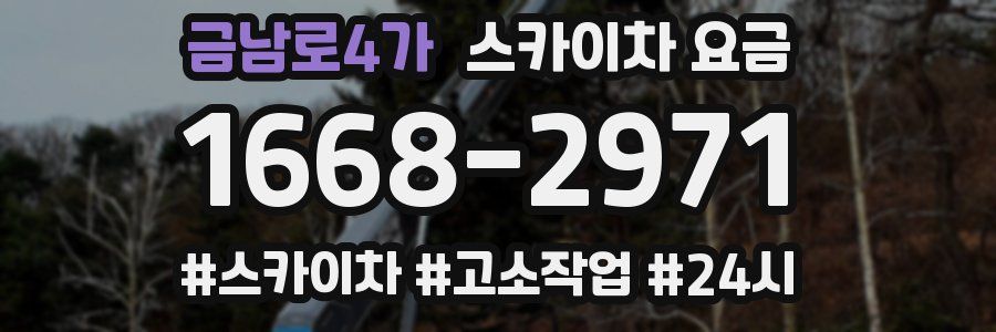 금남로4가 스카이차 요금