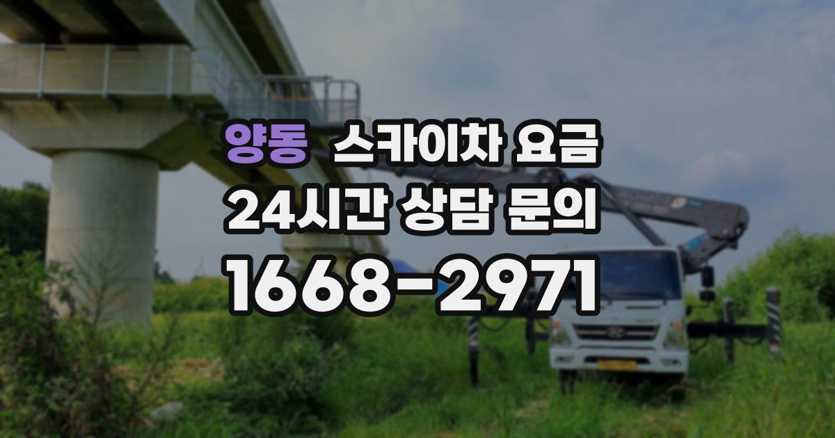양동 스카이차 요금