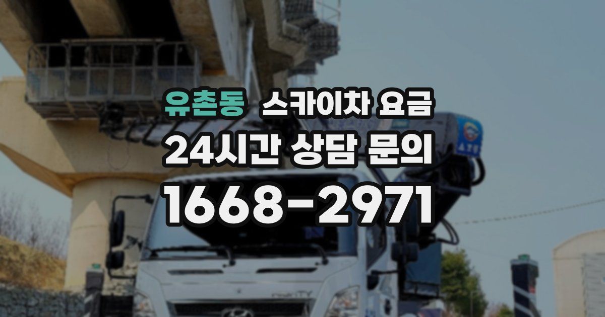 유촌동 스카이차 요금