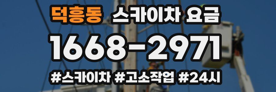 덕흥동 스카이차 요금