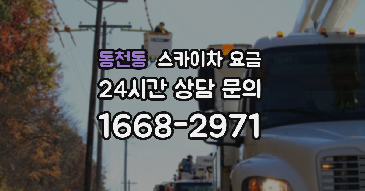 동천동 스카이차 요금