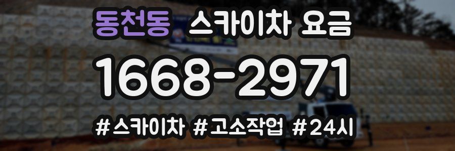 동천동 스카이차 요금