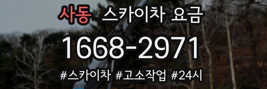 사동 스카이차 요금