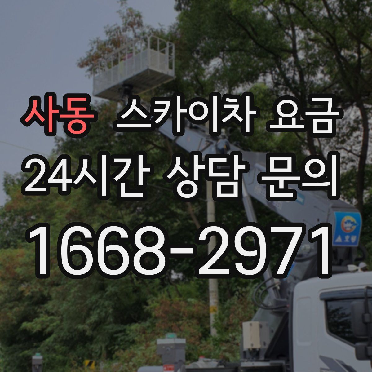 사동 스카이차 요금