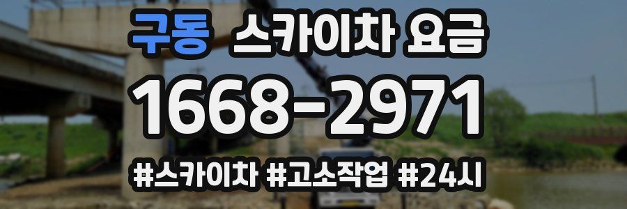 구동 스카이차 요금