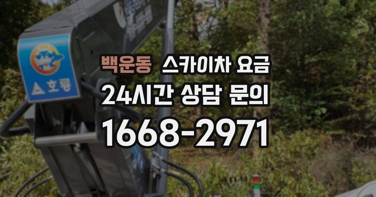 백운동 스카이차 요금