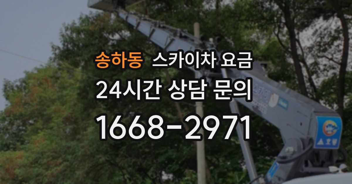 송하동 스카이차 요금