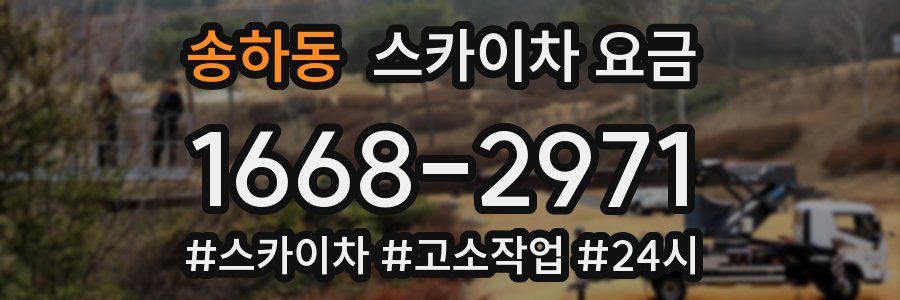 송하동 스카이차 요금