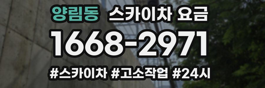 양림동 스카이차 요금