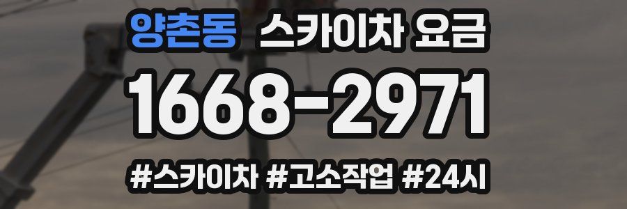 양촌동 스카이차 요금