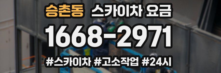 승촌동 스카이차 요금